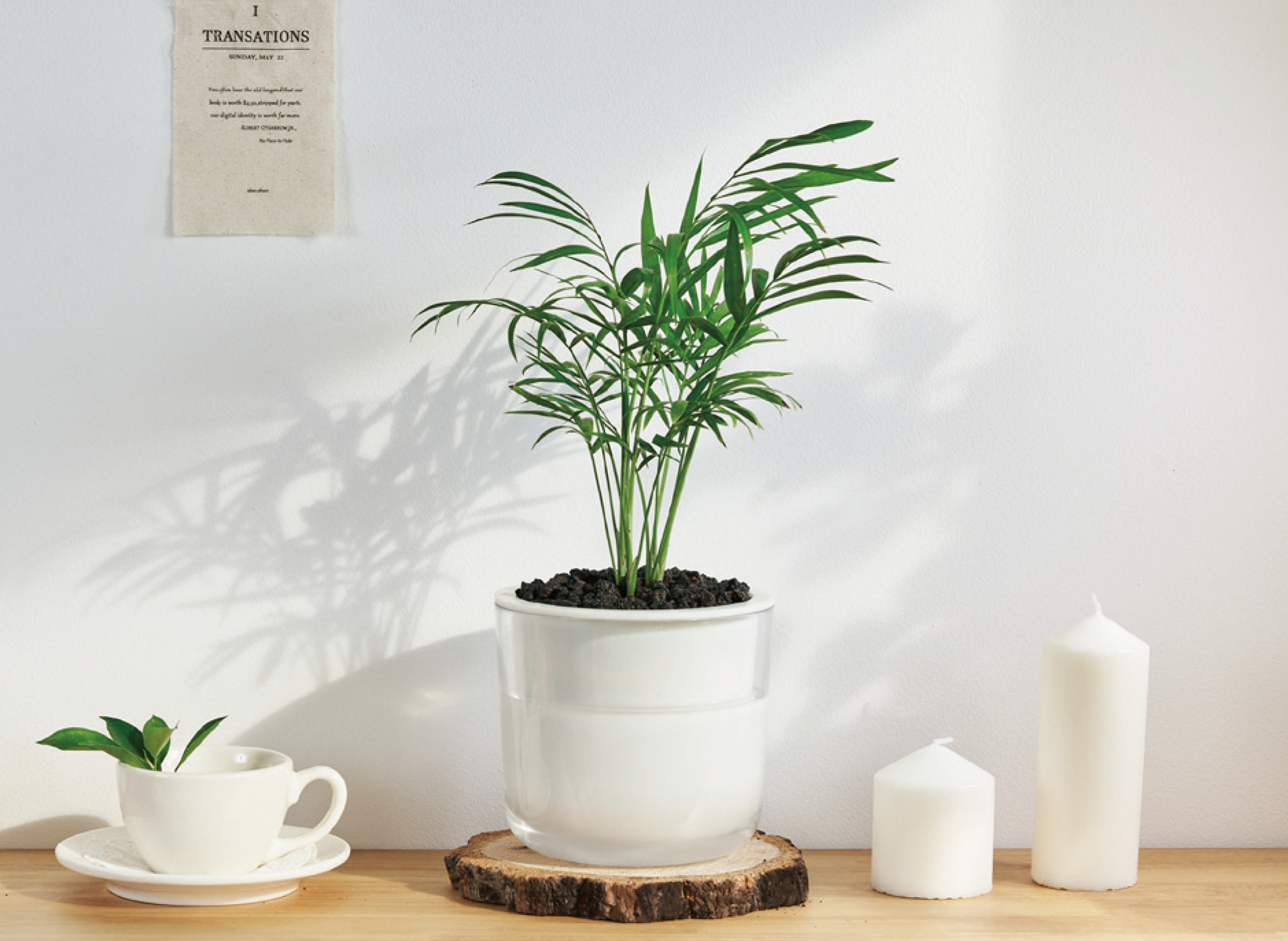 EnvironmentFriendly Flowerpot