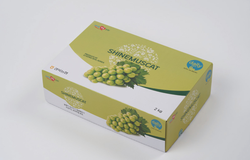 China Shine Muscat Green Grapes — MomoBud